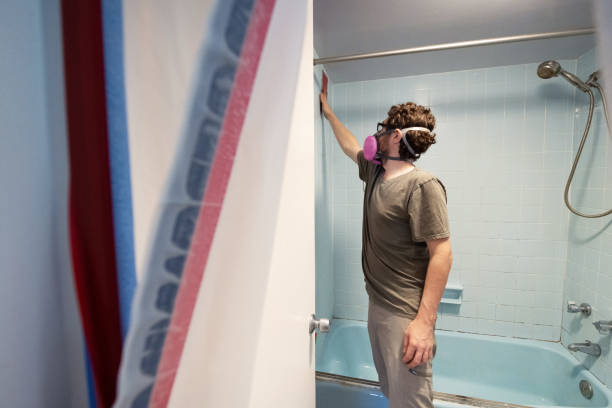 Best Forensic Mold Investigation  in Mountain View, CA