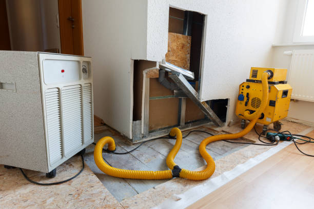 Best Water Damage & Mold Remediation  in Mountain View, CA