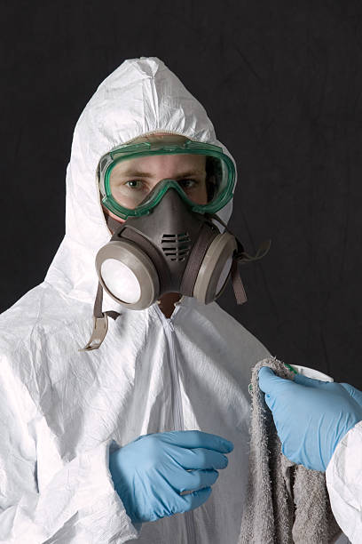 Mountain View, CA Mold Removal Company